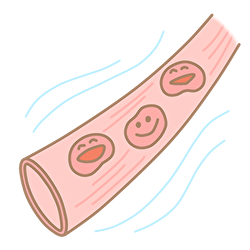 血流を良くする